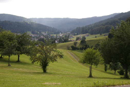 Heilklimatischer Kurort Baiersbronn Obertal 4
